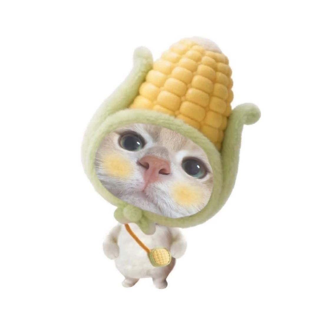 性感大蛤蟆🐸