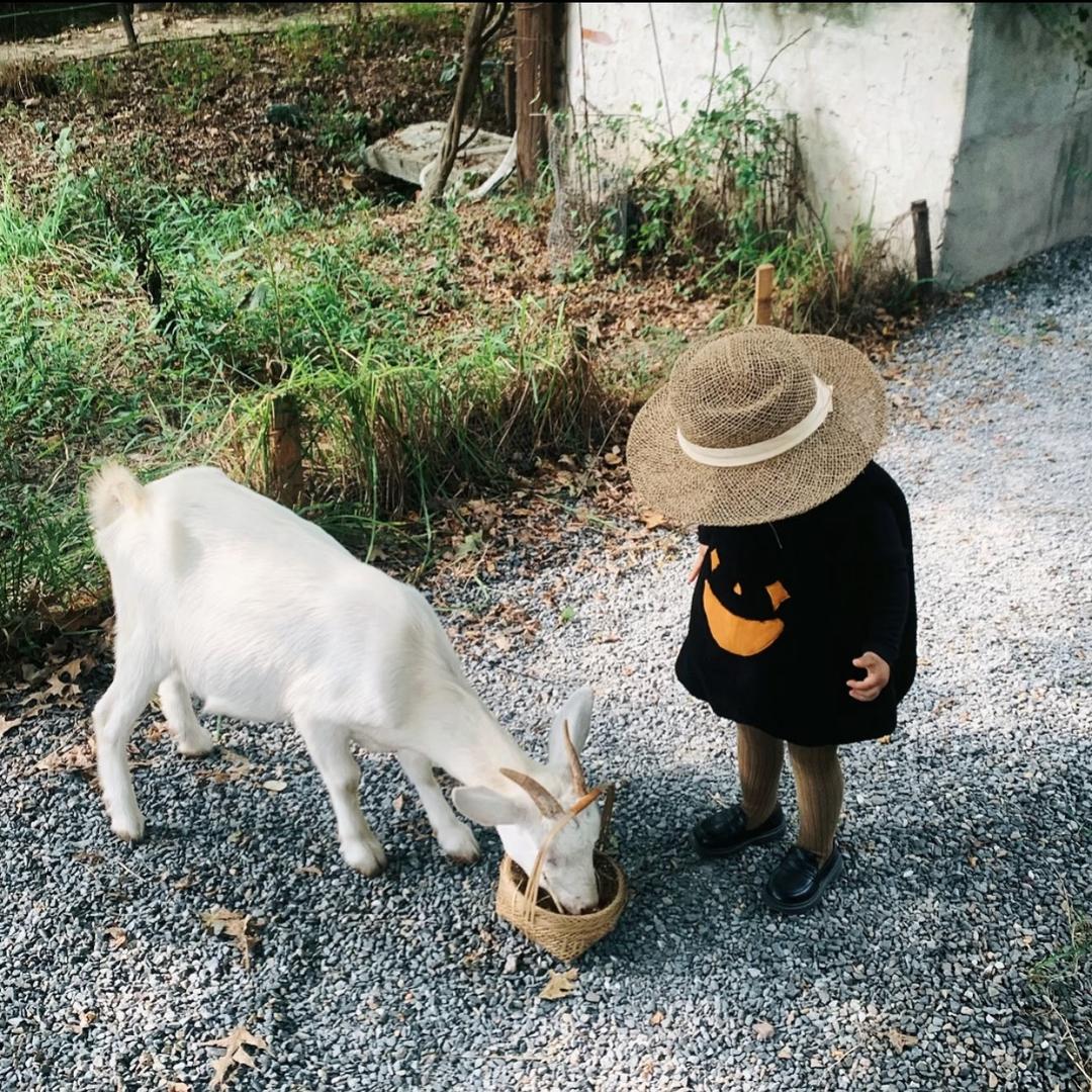 木木夕·实体品牌童装
