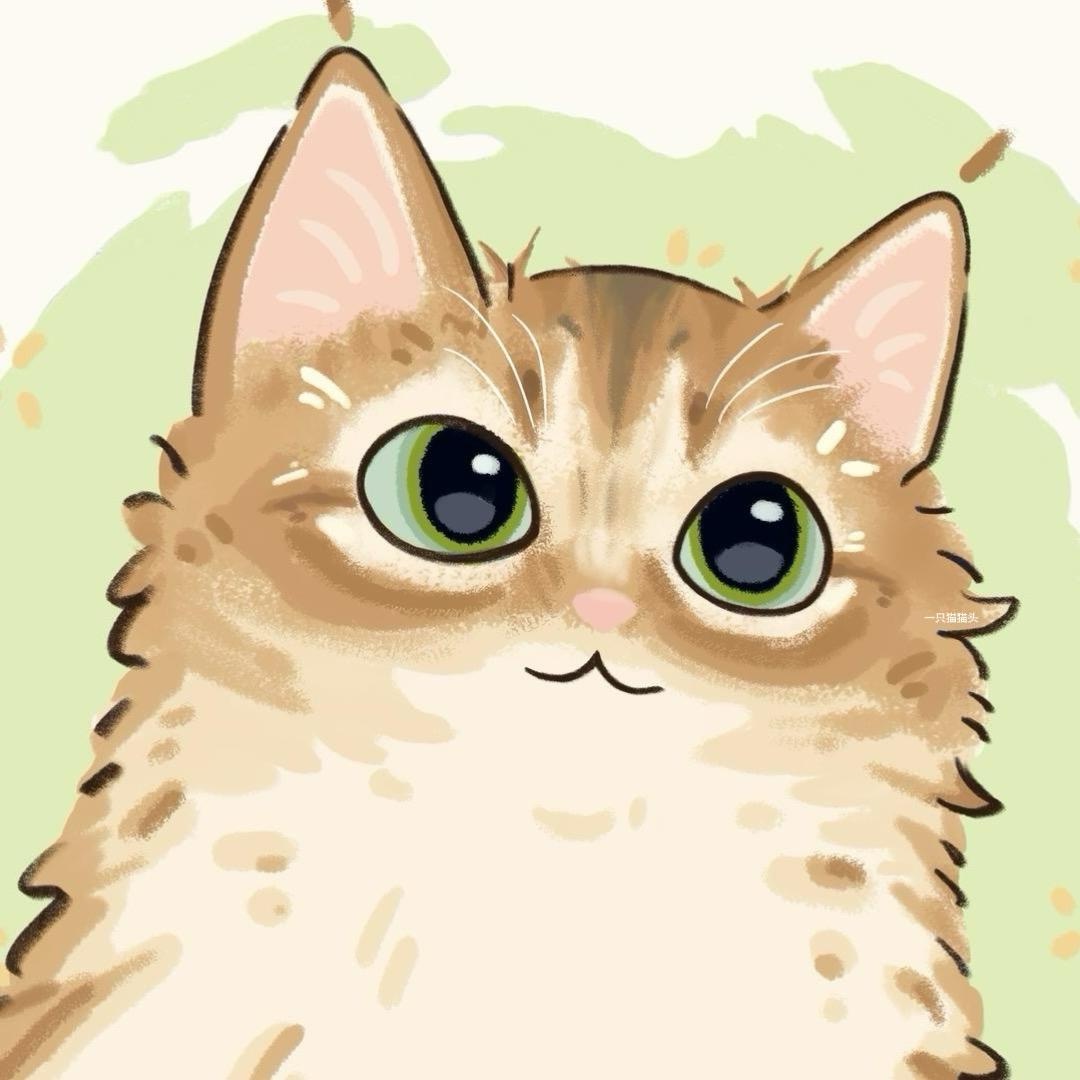 一只猫猫头