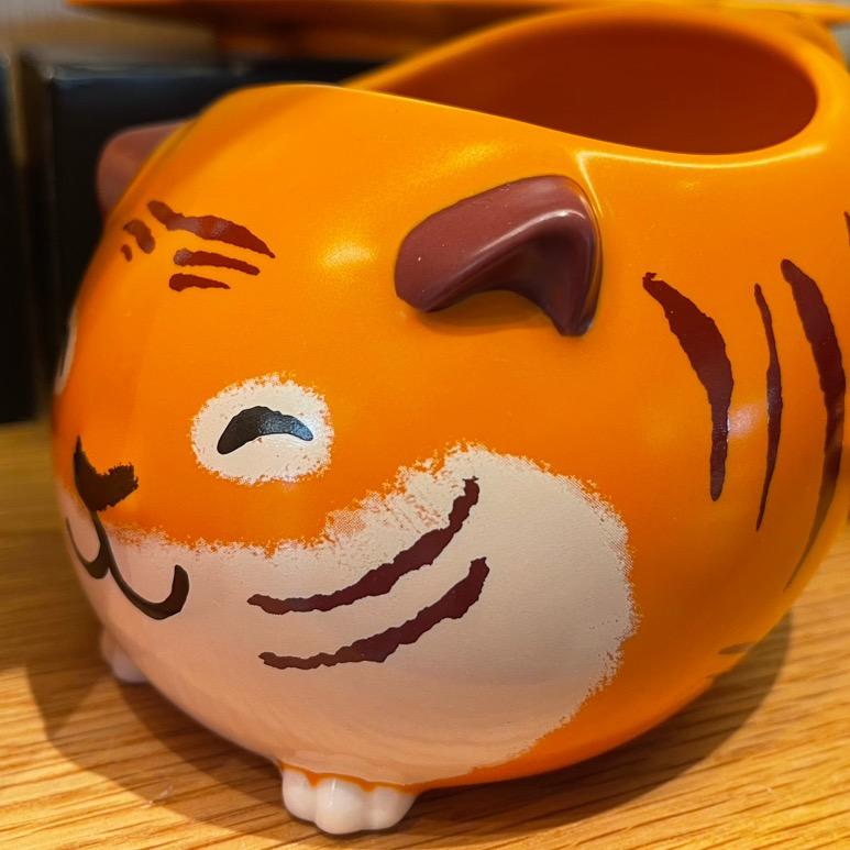 肥仔TR