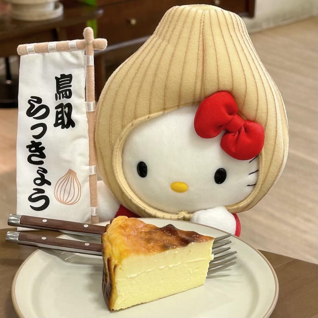 小由didi