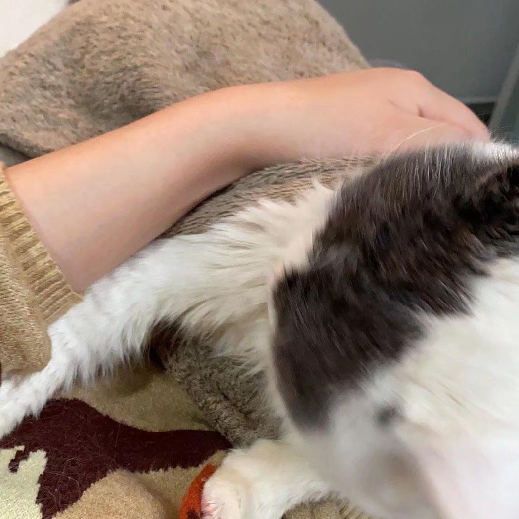 爱喝水的张泊扬