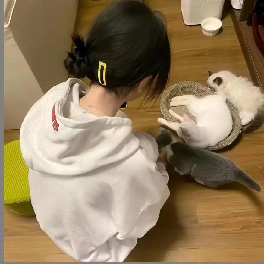 邓珍珍珍