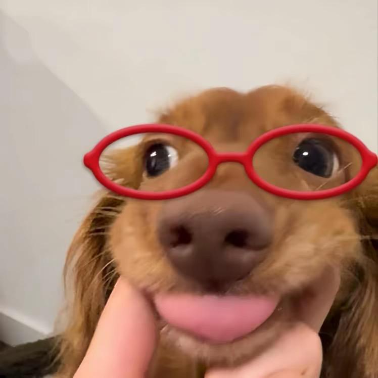 ：晚安