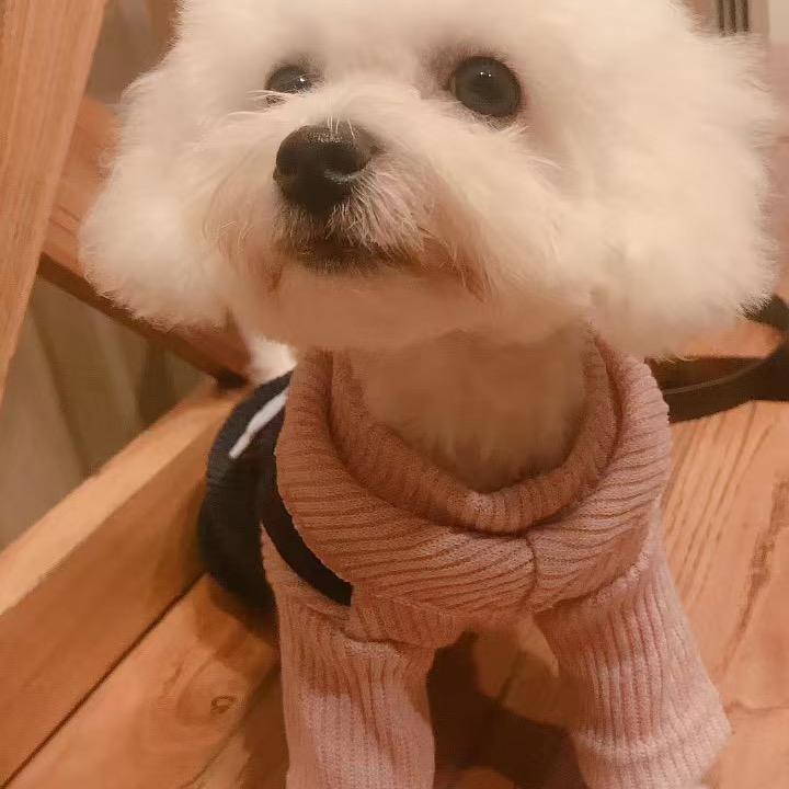 幸会.