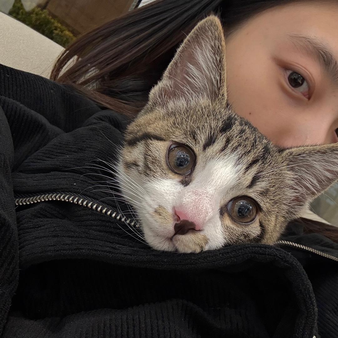 叫什么名字好呢