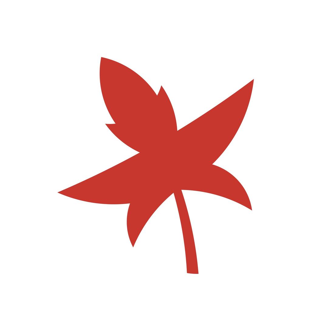 简简森