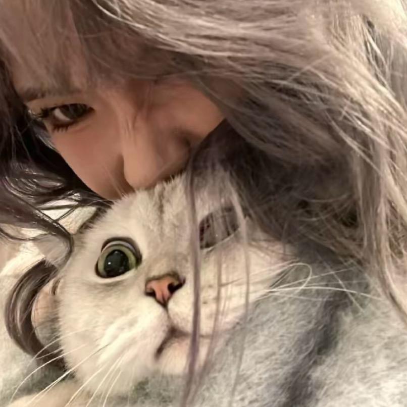 猪皮妹想睡觉
