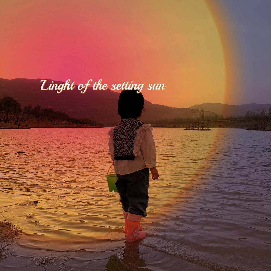 麦子麦穗 🌾（橱窗带货）