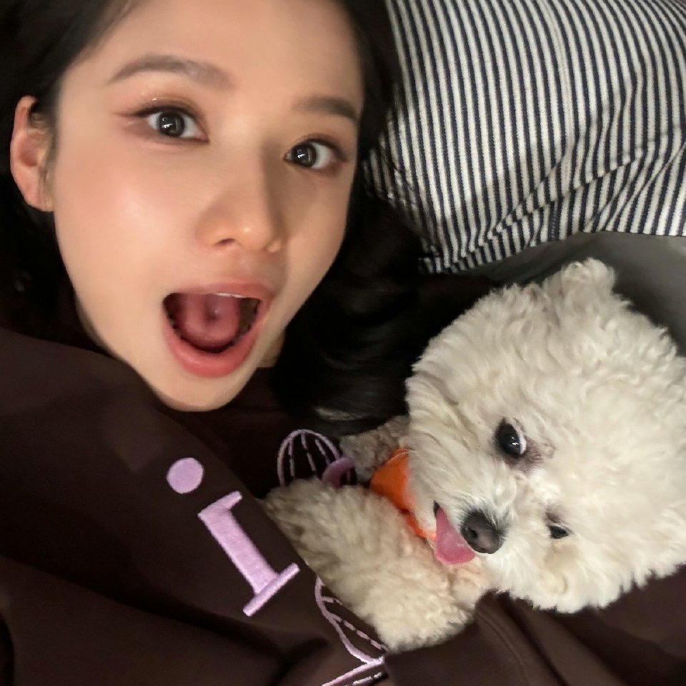 爱吃鱼