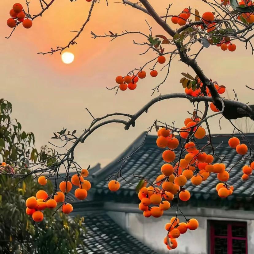 好事多磨