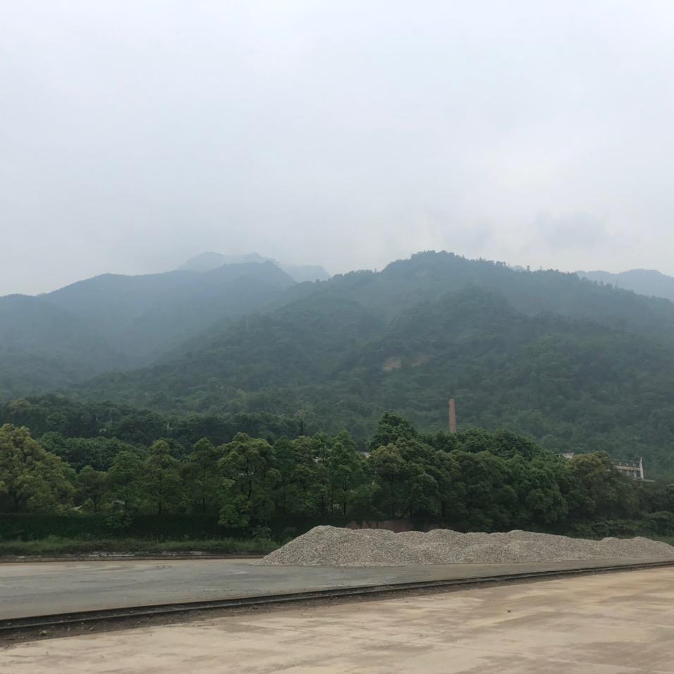 掉了毛的狗