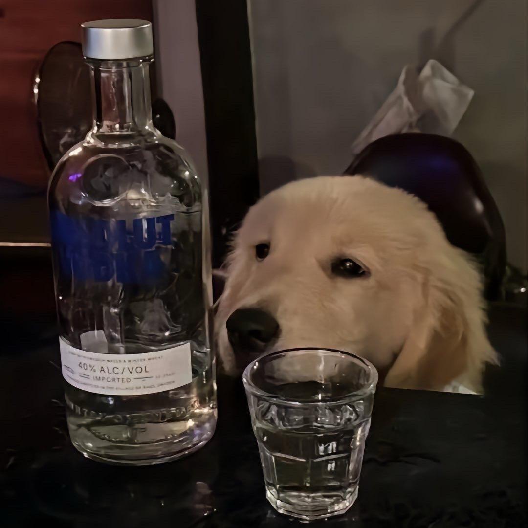 佳肆必累