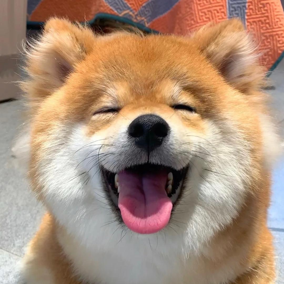 别来撩拨我心