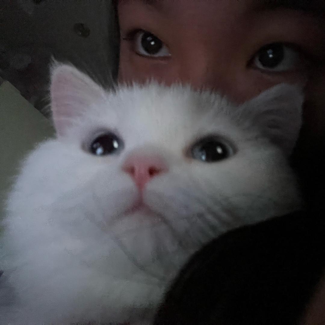 -清.