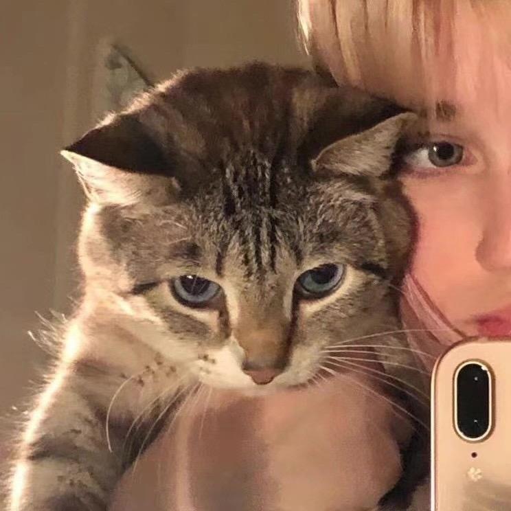 小何财露煎煎饺