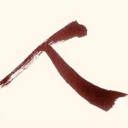 金诺信鸽