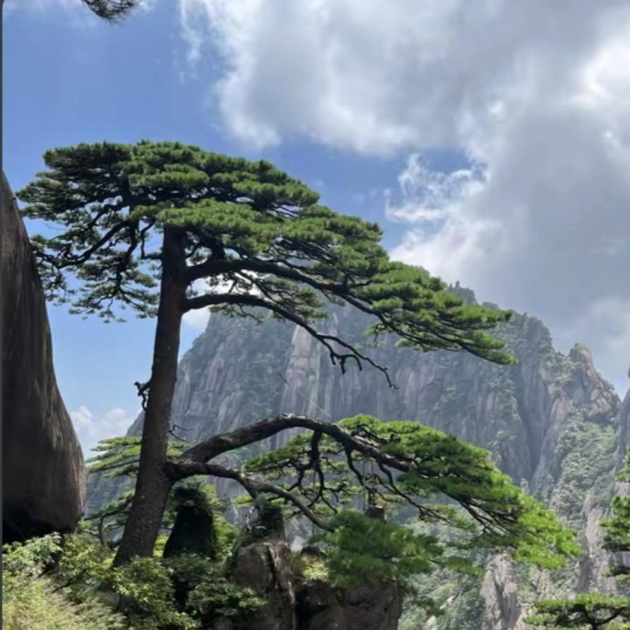 廾 匸