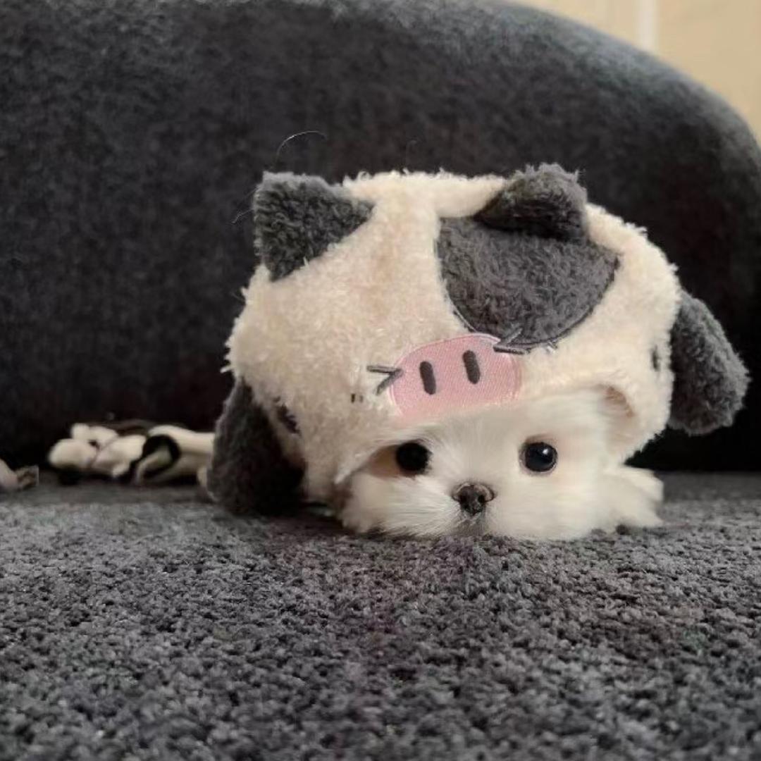 小小一^ - ^