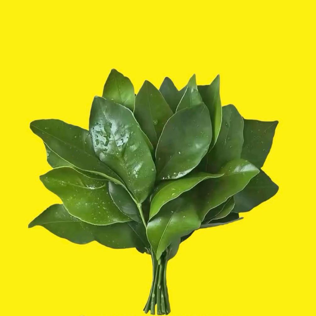 睡 一 会