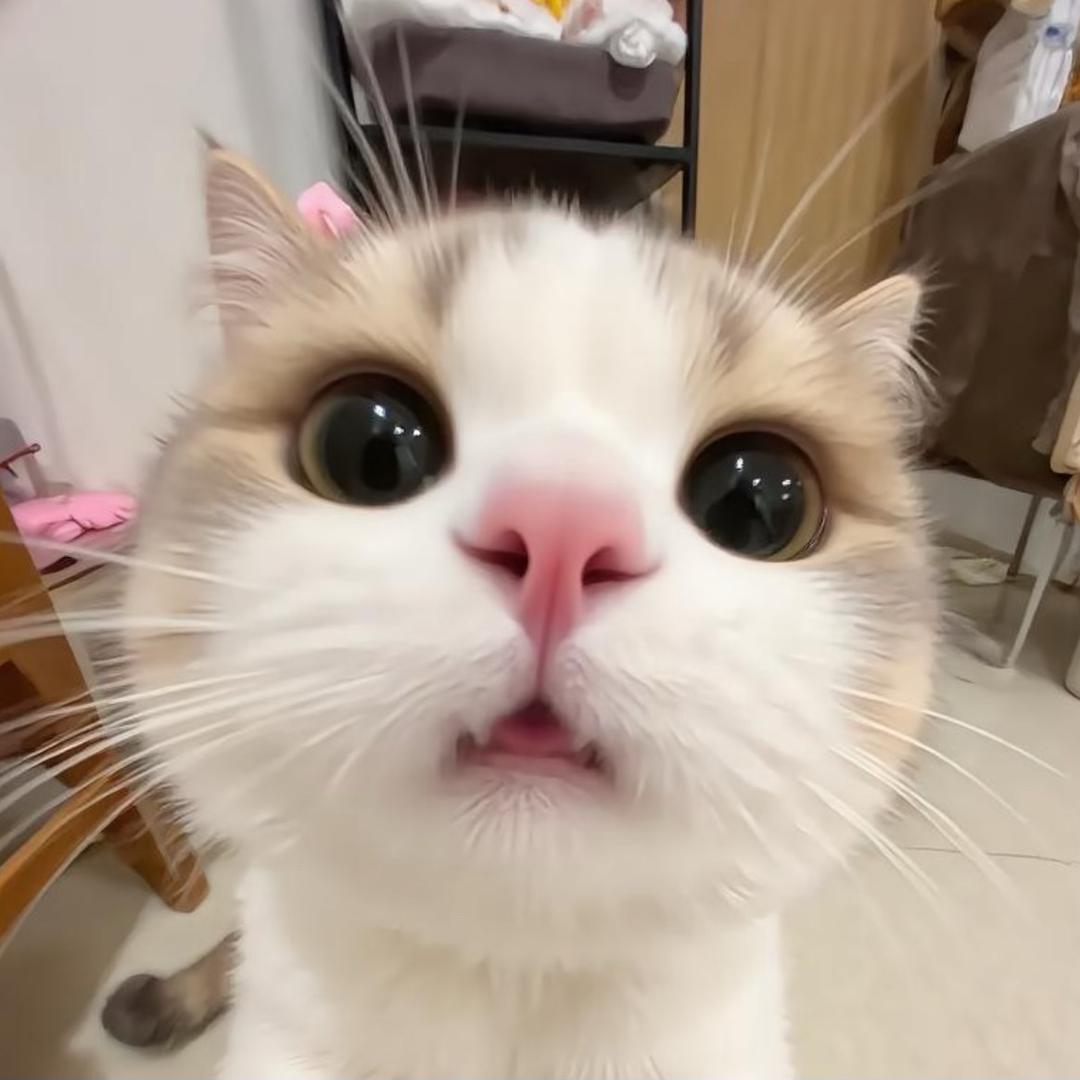 哈哈哈哈哈哈哈哈