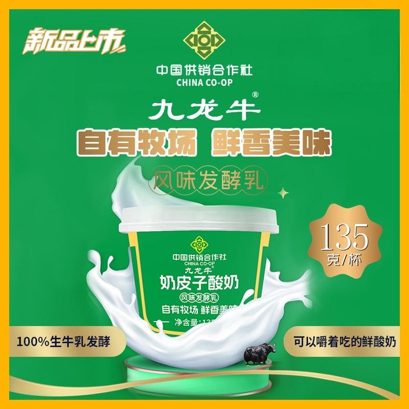 九龙牛奶皮子酸奶