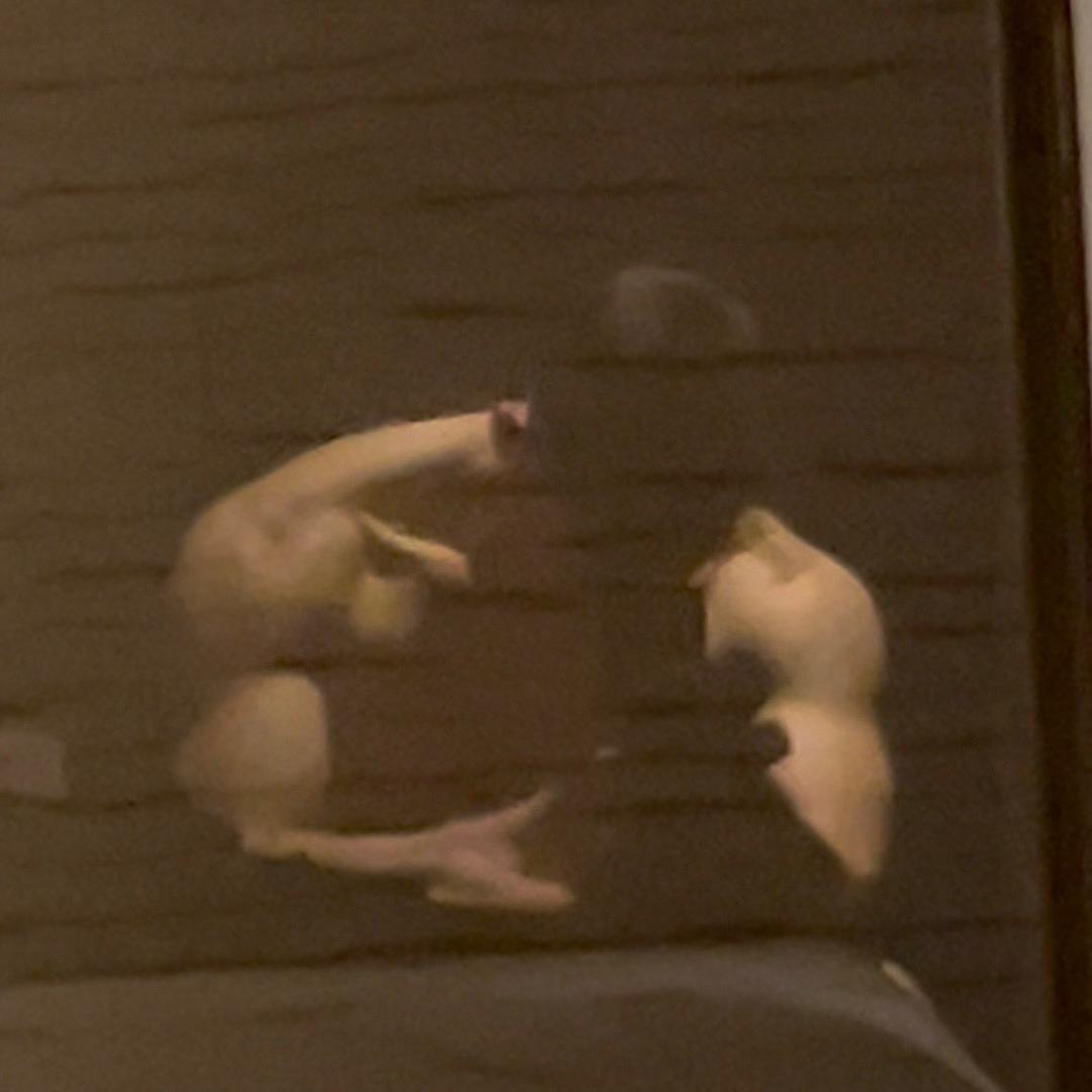 公牛叔叔