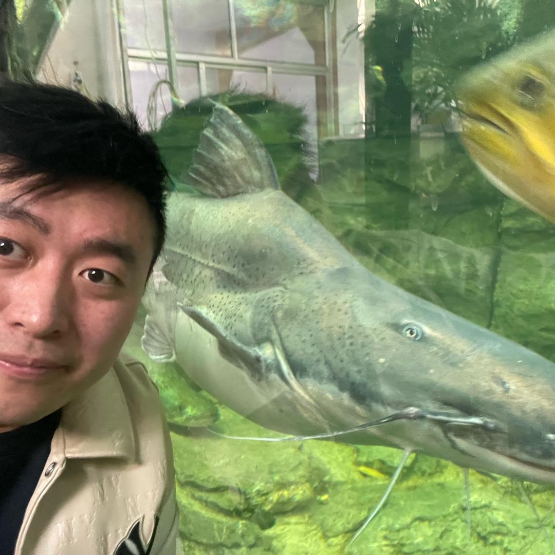 伊比利西柚绿妍