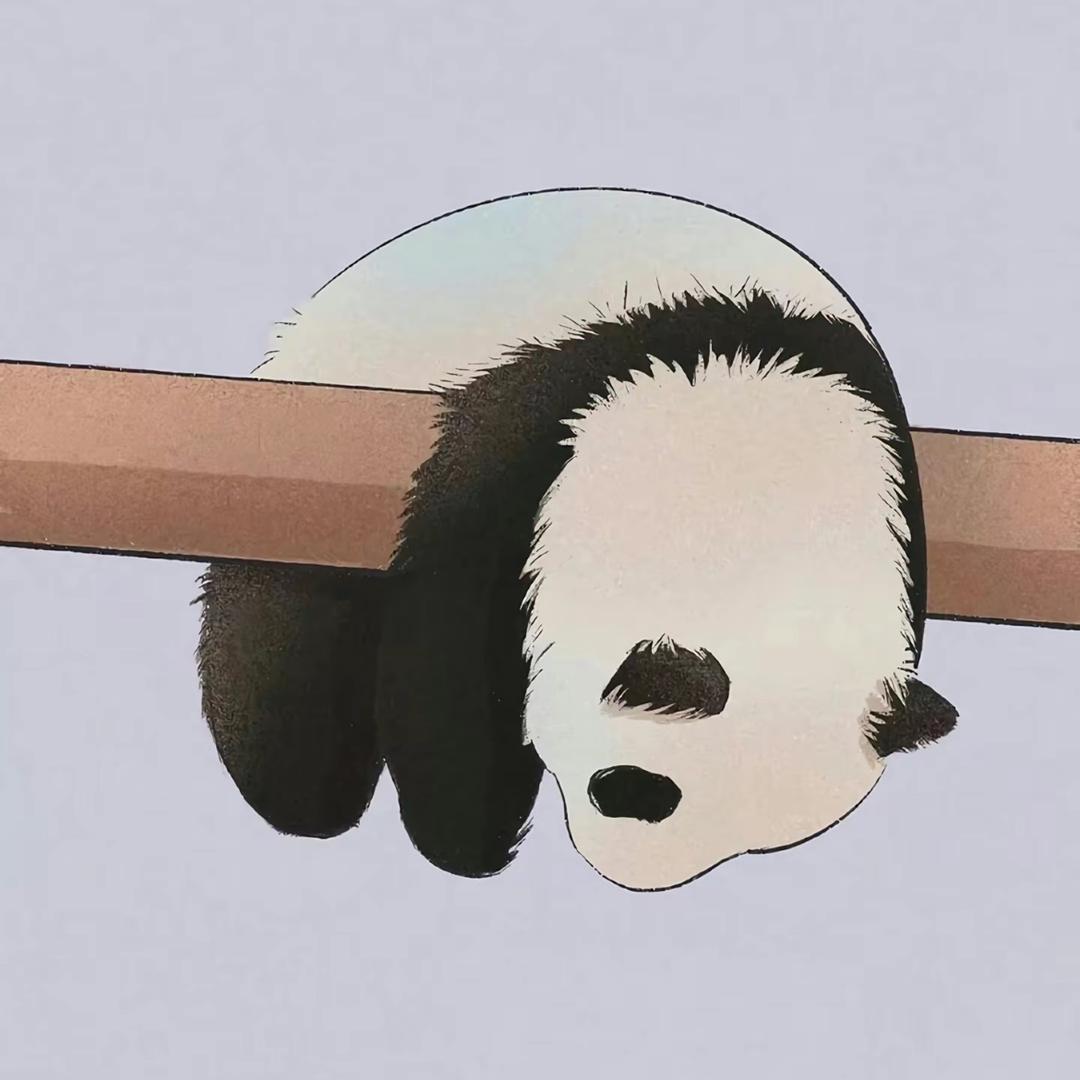 Panda Clothing