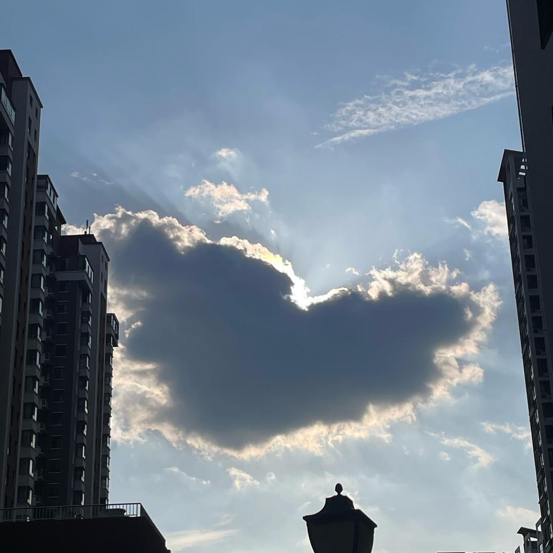 爱心传递🥰