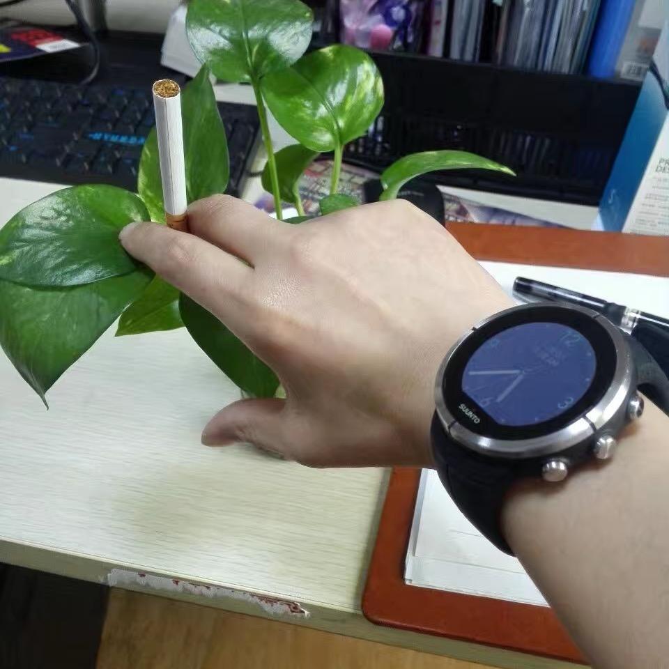 辛西娅