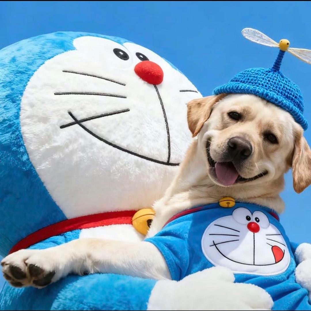 机器猫