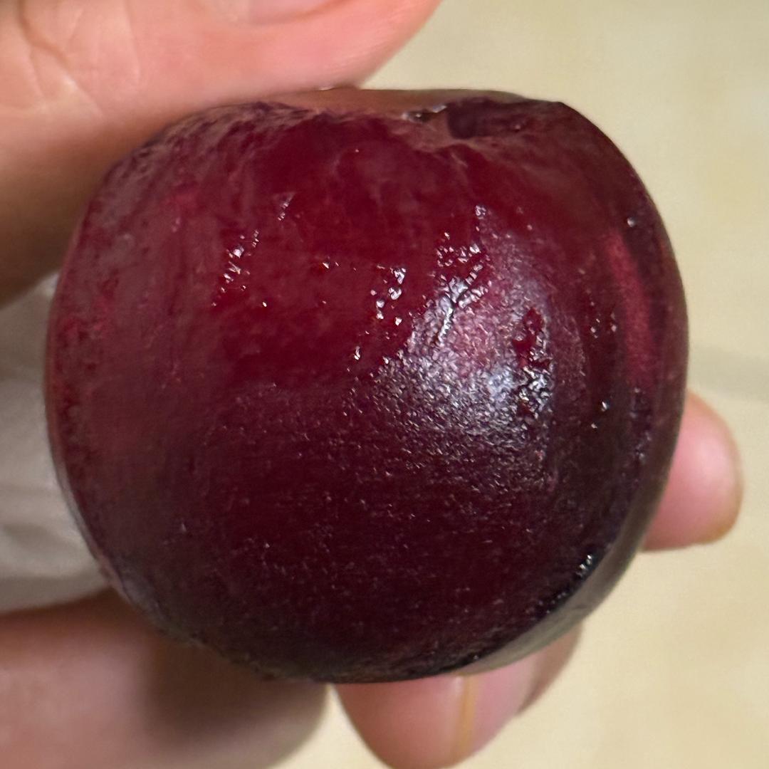 小小沐