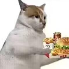 AAA专业KFC疯狂星期四代吃小李