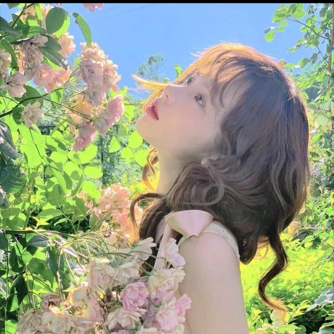 杰琳种子