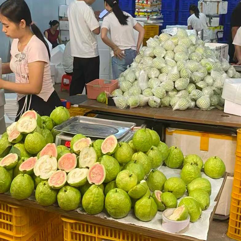 林妹家芭乐