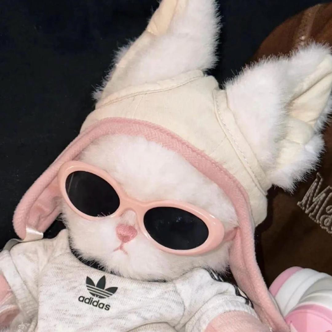 兔兔🐰(减肥版)