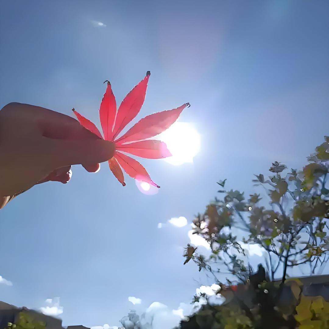 沵若安好💕便是晴天