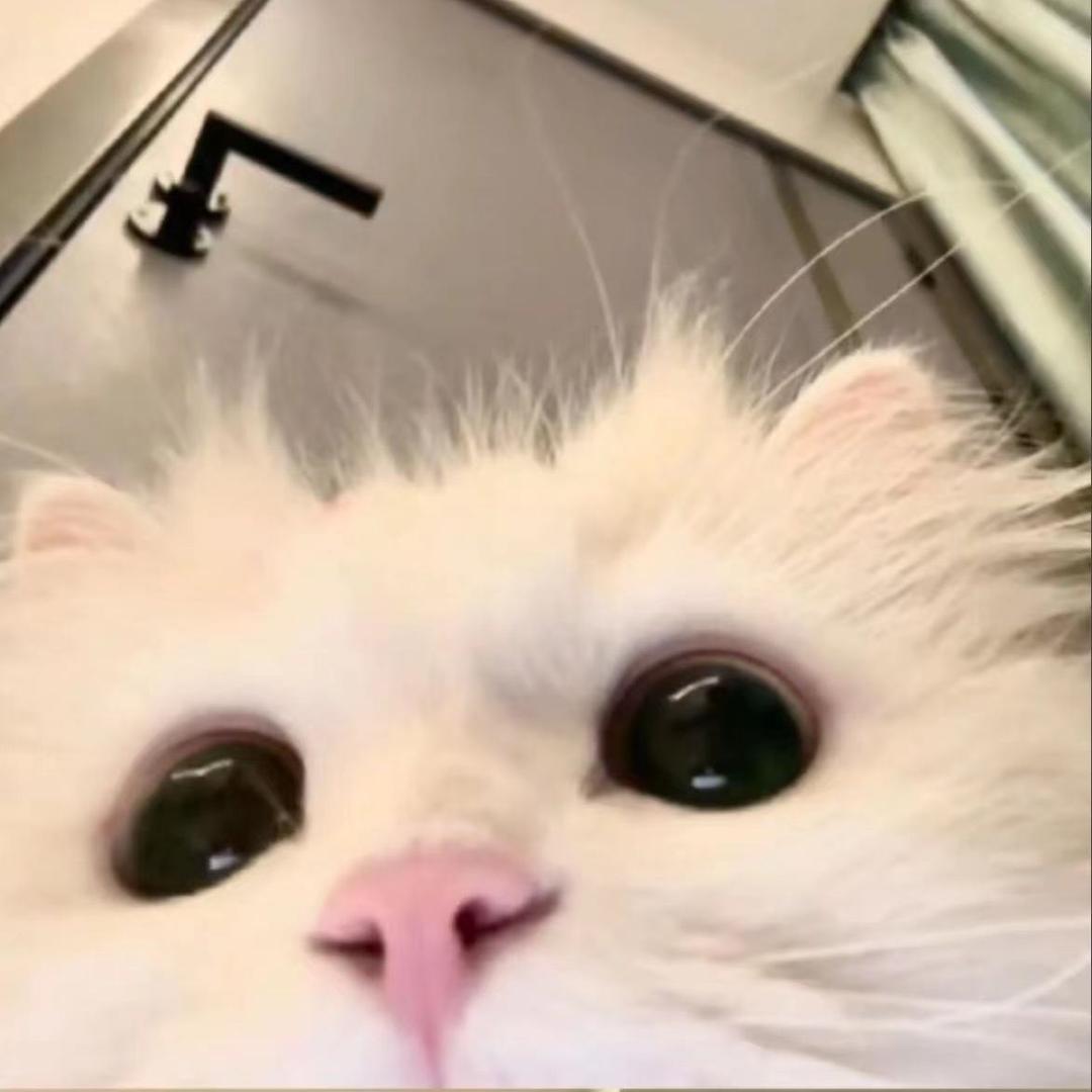 芭比.