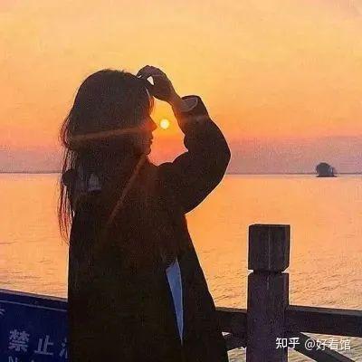 杨杨