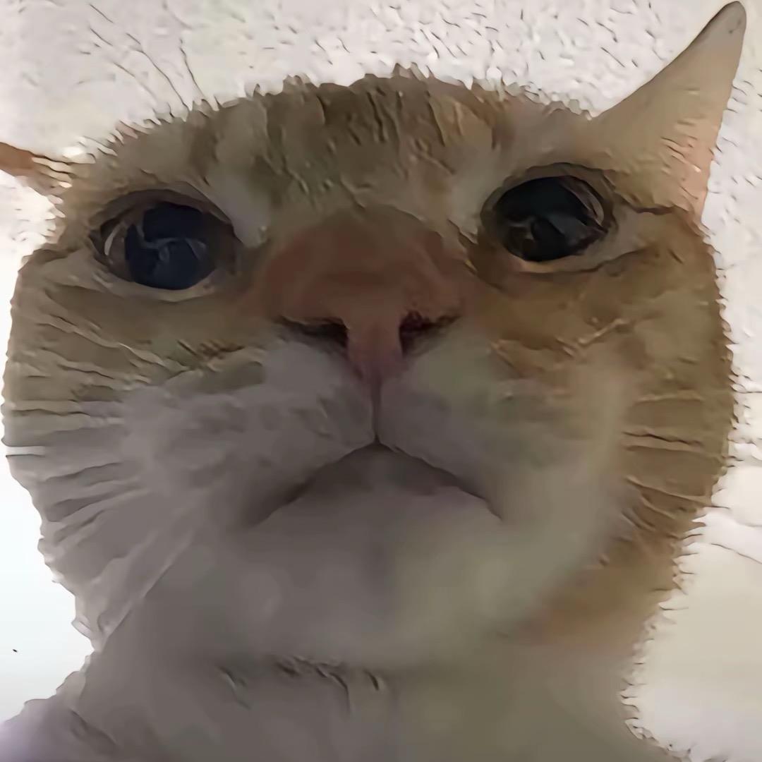 哈基米南北绿豆