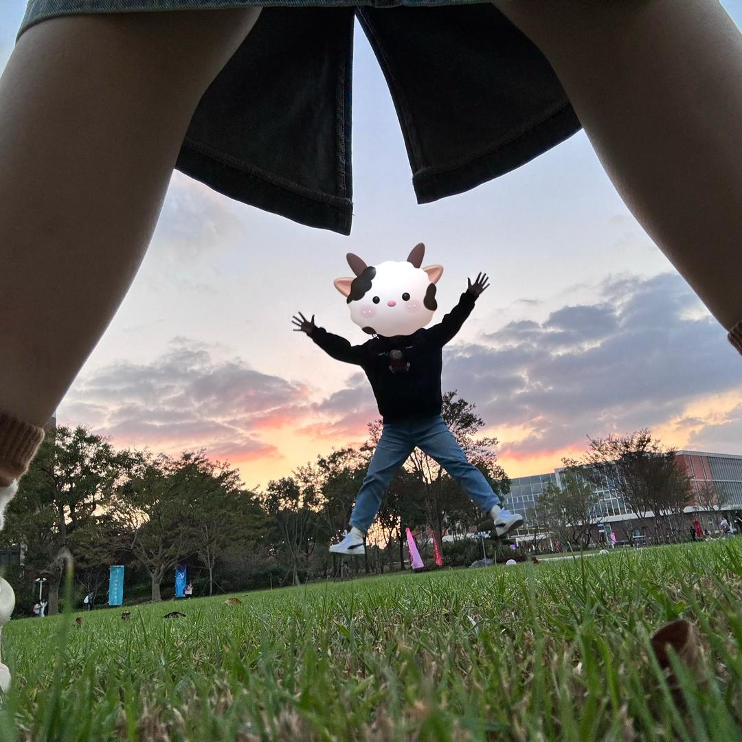 机灵勇敢南瓜菇