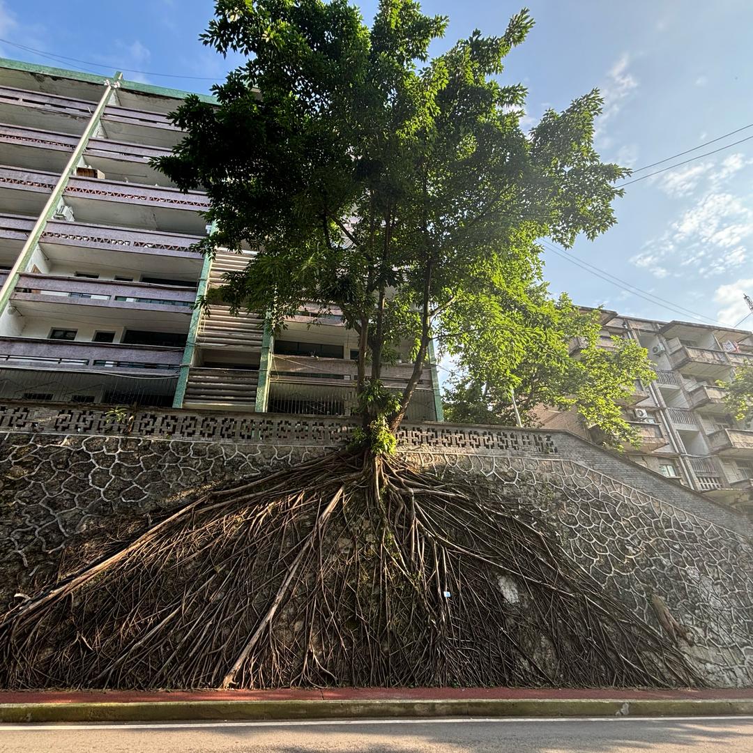 人文学长（主页有新生交流群）