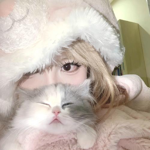 茉雨