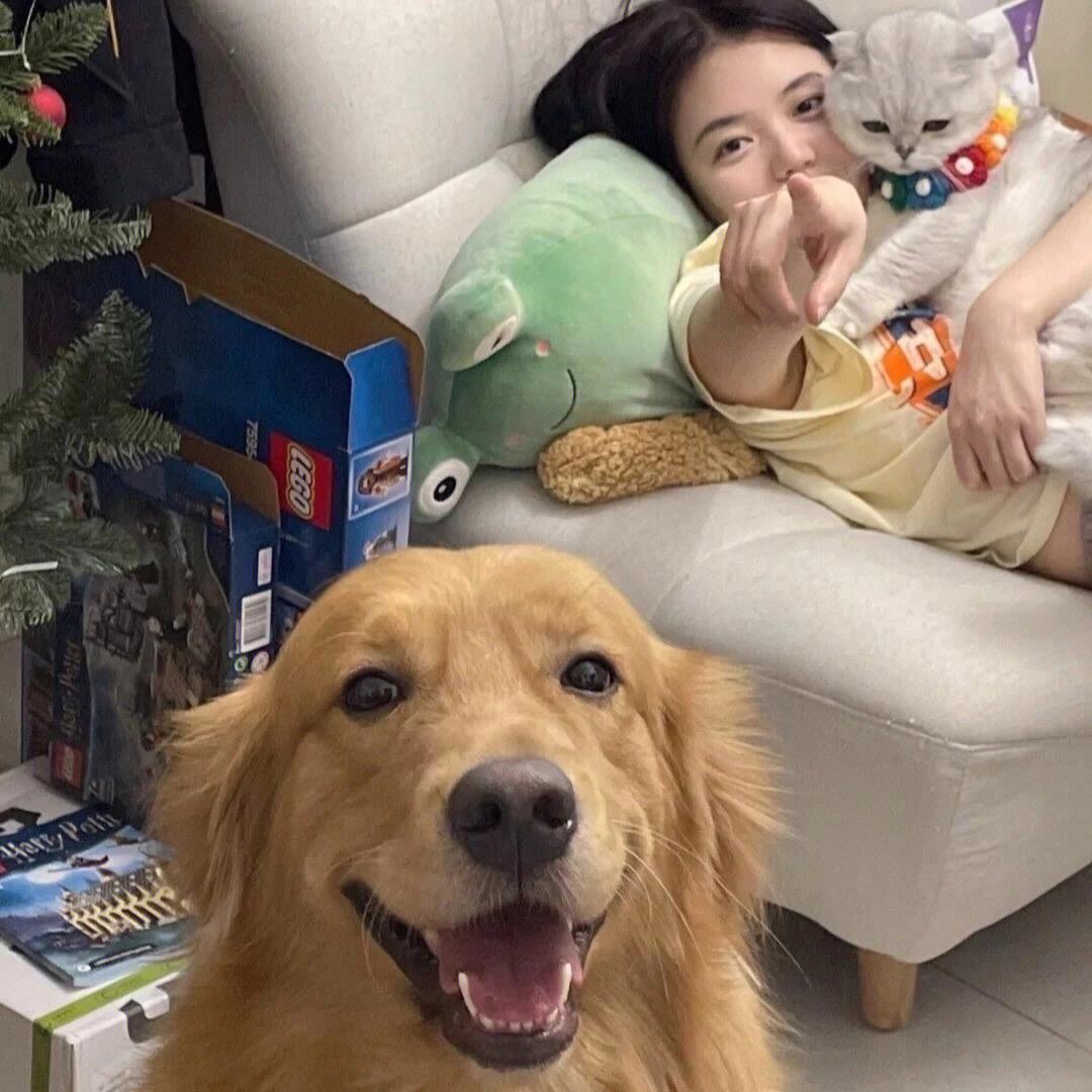 内耗小树