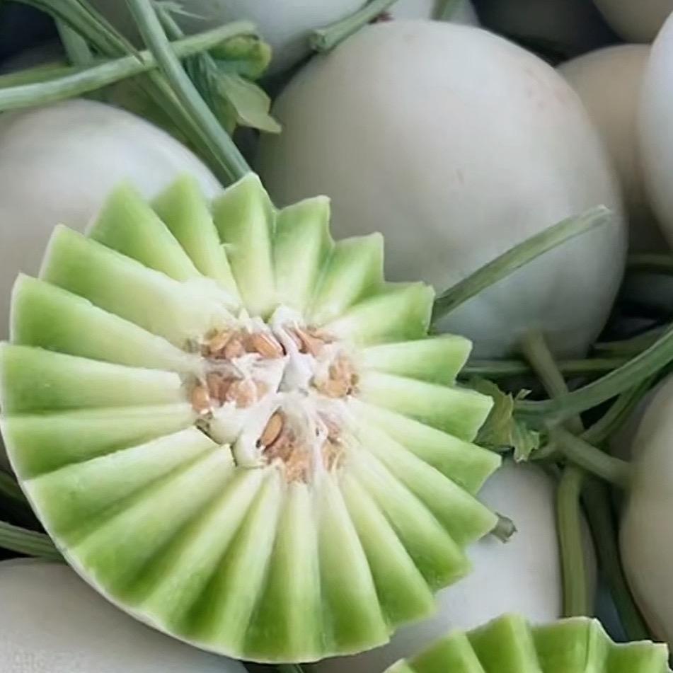 果蔬产地供应🍈🍉🥬