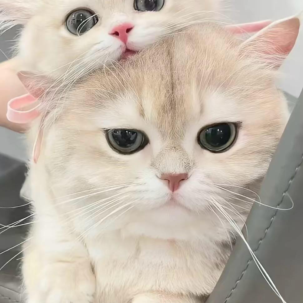 Oct.Lg￴￴ ￴ ￴￴￴ ￴￴￴ ￴