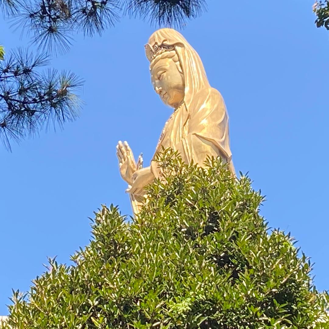 开心