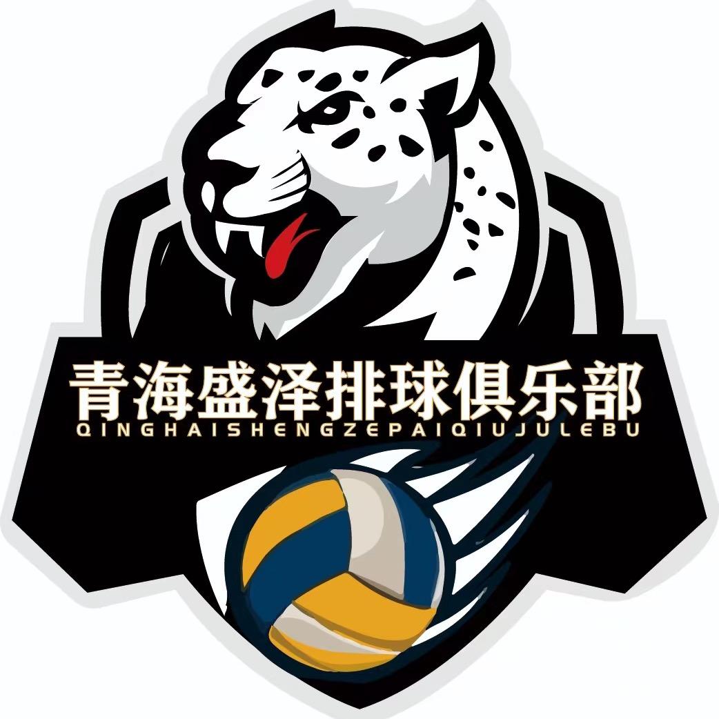 青海盛泽VA🏐️