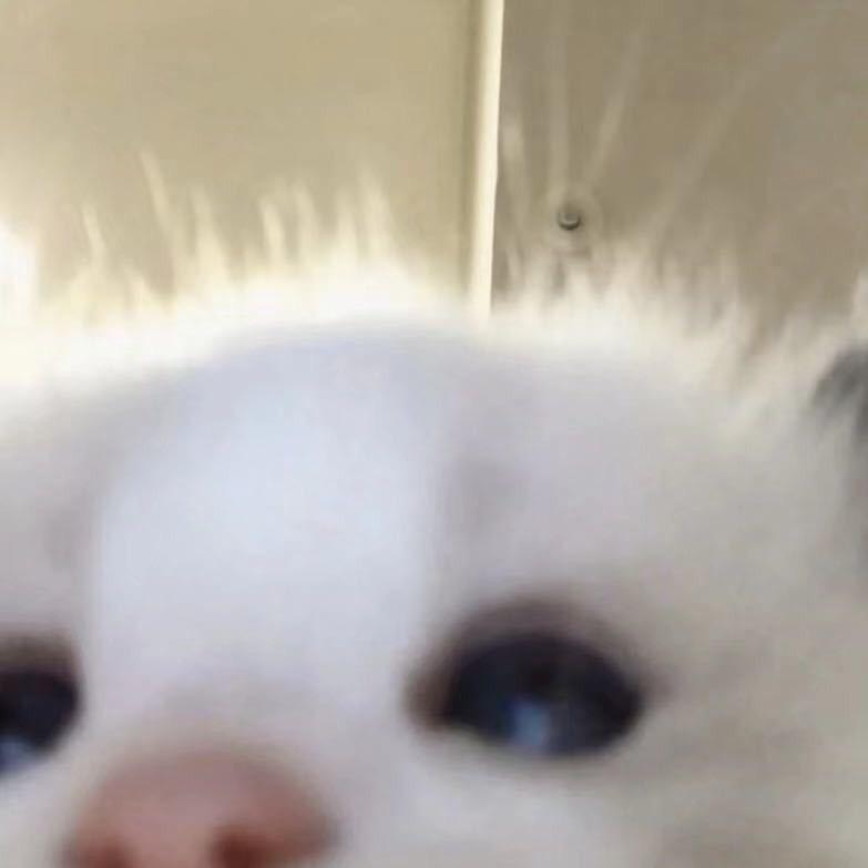 youy